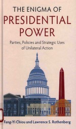 The enigma of p<em>r</em>esidential powe<em>r</em>