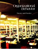 ORGANIZATIONAL BEHAVIOR:<em>THEORY</em> <em>AND</em> <em>PRACTICE</em>