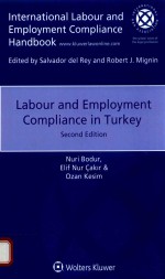 Labour and employment compliance <em>in</em> Turkey