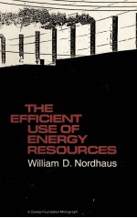 <em>THE</em> <em>EFFICIENT</em> USE <em>OF</em> ENERGY RESOURCES