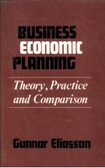 BUSINESS <em>ECONOMIC</em> PLANNING:THEORY