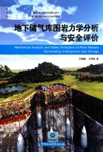 地下储气库围岩力学分析与安全评价