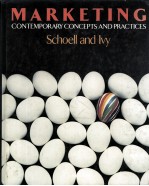 MARKETING:CONTEMPORARY CONCEPTS <em>AND</em> <em>PRACTICE</em>S