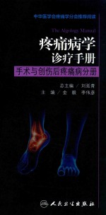 疼痛病学诊疗<em>手册</em>  手术与创伤后疼痛病分册