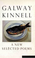 A NEW <em>SELECTED</em> POEMS