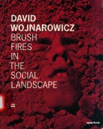 DAVID WOJNAROWICZ BRUSH FIRES IN <em>THE</em> <em>SOCIAL</em> LANDSCAPE