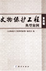 文物保护<em>工程</em>典型案例  第4辑