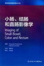 小肠、结肠和直肠影像学  翻译版