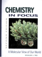 CHEMISTRY IN FOCUS <em>A</em> MOLECUL<em>A</em>R VIEW <em>OF</em> OUR WORLD <em>SECOND</em> <em>EDITION</em>