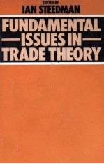 FUNDAMENTAL ISSUES <em>IN</em> TRADE <em>THEORY</em>