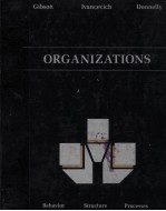 ORGANIZATIONS:<em>BEHAVIOR</em> STRUCTURE PROCESSES <em>FOURTH</em> <em>EDITION</em>