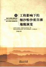 工程影响下的细沙粉沙质岸滩<em>地貌</em>演变