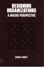 DESIGING ORGANIZATIONS:A <em>MACRO</em> PERSPECTIVE