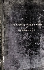 <em>THE</em> CHINESE FAMILY <em>SYSTEM</em>