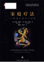 家庭疗法  系统化理论与实践