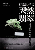 行家这样买天然翡翠  从外行到内行的实用宝典