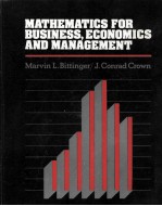 MATHEMATICS <em>FOR</em> BUSINESS ECONOMICS <em>AND</em> MANAGEMENT