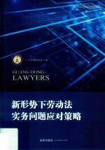 <em>广东</em>律师系列丛书  新形势下劳动法实务问题应对策略