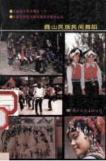 <em>巍山</em>民族民间舞蹈