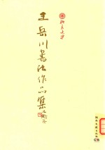 <em>王岳</em>川书法作品集