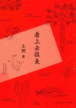 看上去很<em>美</em>