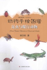 动物手绘图谱  昆虫与爬行动物