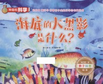 神奇的科学  海底的大黑影是什么？
