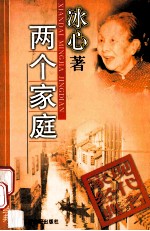 现代名家经典  两个家庭