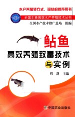 鲇鱼高效养殖致富<em>技术</em>与实例