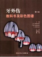 <em>牙</em>外伤教科书及彩色图谱