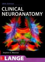 A LANGE MEDI<em>C</em>AL BOOK <em>C</em>LINI<em>C</em>AL NEUROANATOMY TWENTY-EIGHTH EDITION