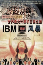 IBM风暴 <em>世界</em><em>最大</em>计算机王国<em>之</em>谜