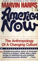 <em>A</em>MERIC<em>A</em> <em>NOW</em> THE <em>A</em>NTHROPOLGY OF <em>A</em> CH<em>A</em>NG<em>IN</em>G CULTURE