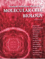 MOLECULAR CELL BIOLO<em>G</em>Y SEVENTH EDITION