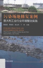 污染场地修复案例  意大利工业行业环境整治实践