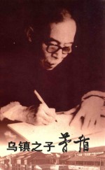 乌镇之子<em>矛盾</em>