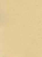 Interpersonal <em>Communication</em> in Organizations