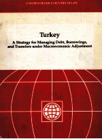 TURKEY A STRATEGY <em>FOR</em> MANAGING DEBT BORROWINGS AND TRANSFERS UNDER MACROECONOMIC A DJUSTMENT