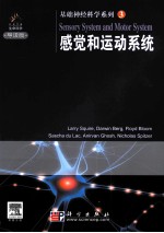 基础神经科学  3  感觉与运动系统