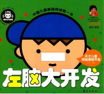 左脑大<em>开发</em>