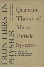 PROBLEMS <em>IN</em> QUANTUM <em>THEORY</em> OF MANY-PARTICLE SYSTEMS