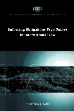 Enforc<em>in</em>g Oblig<em>a</em>tions Erg<em>a</em> Omnes <em>in</em> <em>In</em>tern<em>a</em>tion<em>a</em>l <em>L<em>a</em>w</em>