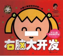 右脑大<em>开发</em>
