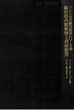 ア<em>メ<em>リカ</em></em>の銀行監査シリーズ1　銀行の内部統制と内部監査