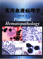 <em>实用</em>血液病理学