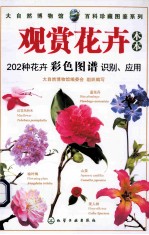 观赏花卉  木本