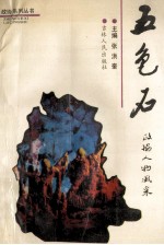 五色石  政协人物风采