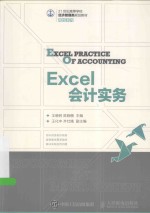 <em>Excel</em><em>会计</em>实务  本科