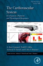 <em>THE</em> CARDIOVASCULAR <em>SYSTEM</em>: DEVELOPMENT