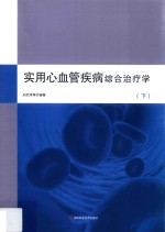 实用心血管疾病综合治疗学  下